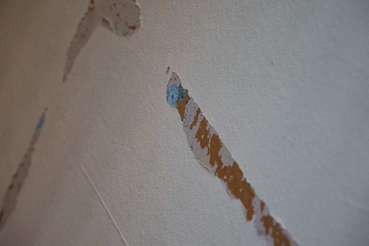 Mold Remediation service in Tempe, AZ